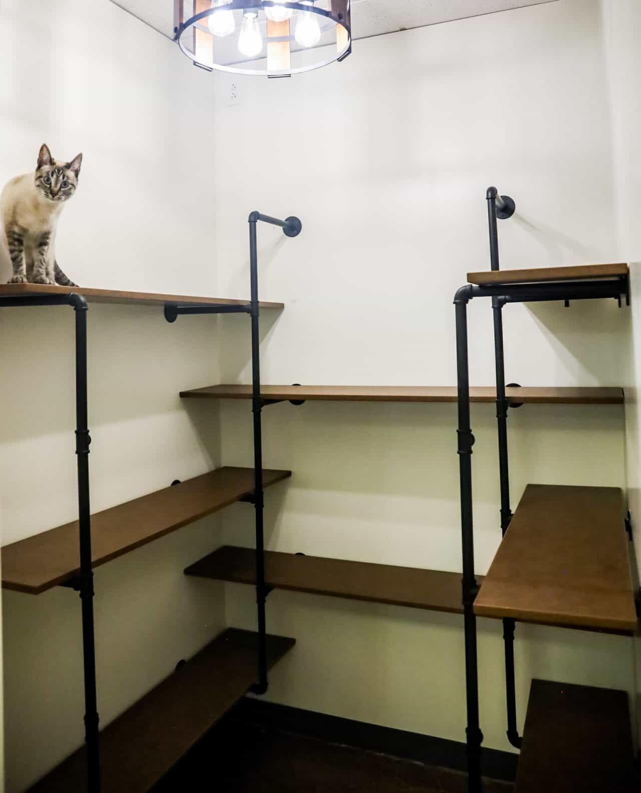 St. Charles multi-level cat condo